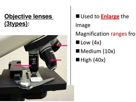 microscopes lenses|Understanding Microscopes and Objectives .